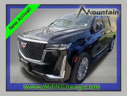 2022 Cadillac Escalade ESV Glenwood Springs CO
