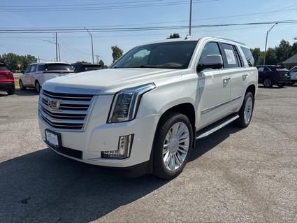 2015 Cadillac Escalade Carbondale IL