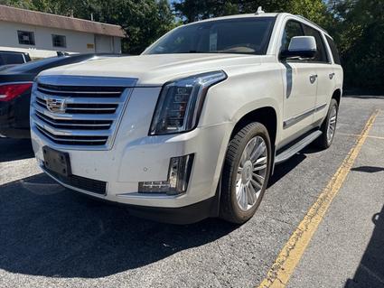 2015 Cadillac Escalade Carbondale IL