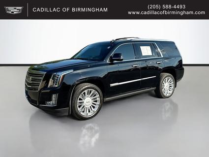 2015 Cadillac Escalade Vestavia Hills AL