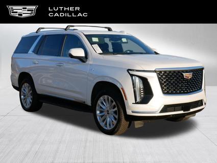 2025 Cadillac Escalade Saint Paul MN