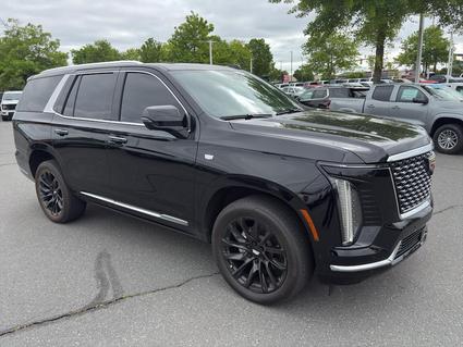 2025 Cadillac Escalade Rock Hill SC