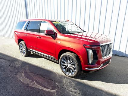 2026 Cadillac Escalade Poplar Bluff MO