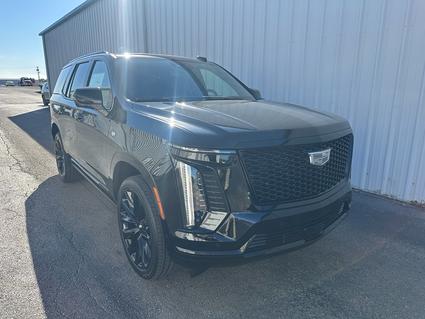 2026 Cadillac Escalade Poplar Bluff MO