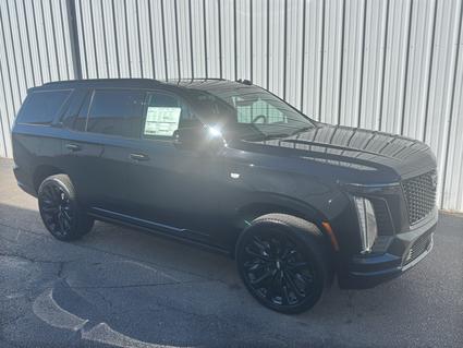 2026 Cadillac Escalade Poplar Bluff MO