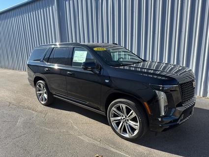 2026 Cadillac Escalade Poplar Bluff MO