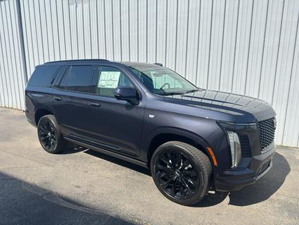 2025 Cadillac Escalade Poplar Bluff MO