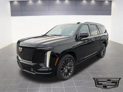 2025 Cadillac Escalade  