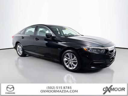 2019 Honda Accord Louisville KY
