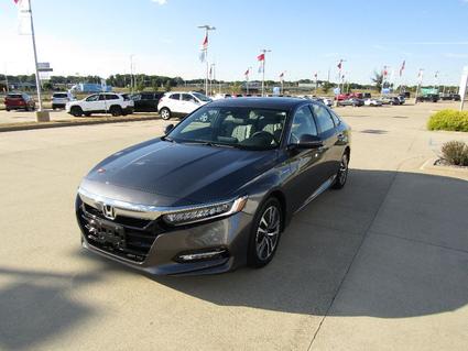 2020 Honda Accord Hybrid Effingham IL