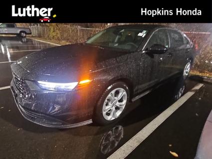 2025 Honda Accord Hopkins MN