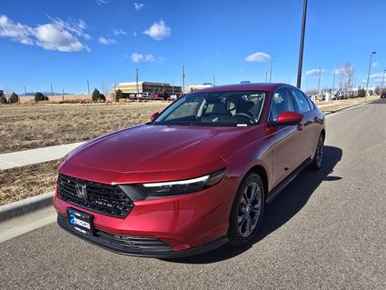 2023 Honda Accord Loveland CO