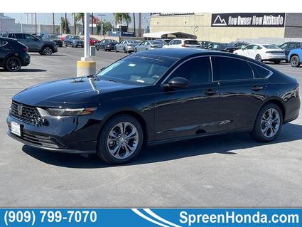 2024 Honda Accord Loma Linda CA