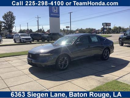 2023 Honda Accord Baton Rouge LA