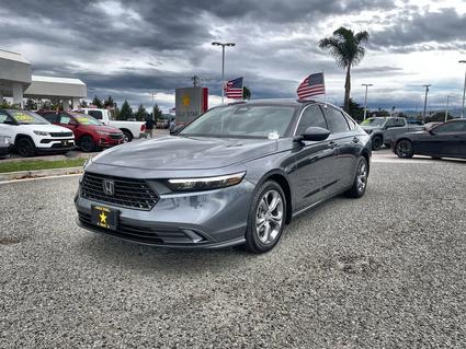 2024 Honda Accord Salinas CA