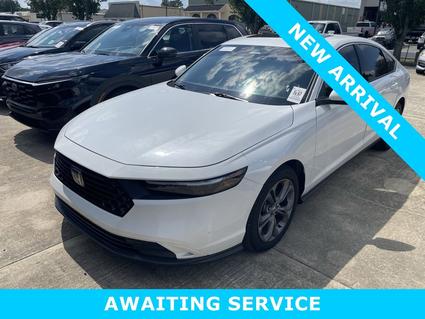2024 Honda Accord Baton Rouge LA