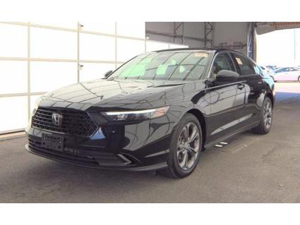 2024 Honda Accord Hazel Green WI