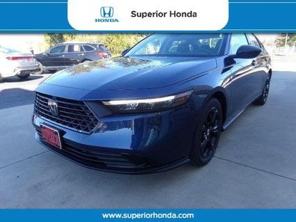 2025 Honda Accord Orangeburg SC