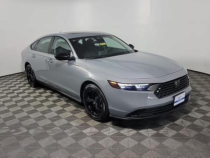 2025 Honda Accord Derwood MD