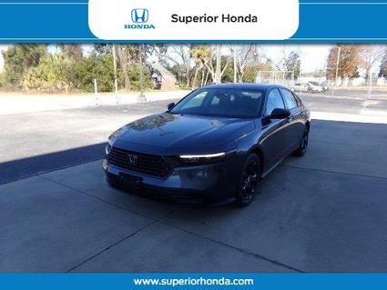 2025 Honda Accord Orangeburg SC