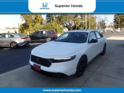 2025 Honda Accord Orangeburg SC