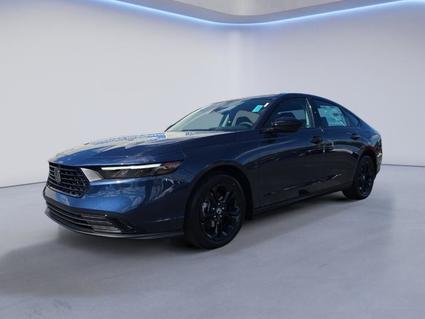 2025 Honda Accord Knoxville TN