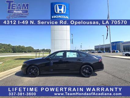 2025 Honda Accord Opelousas LA