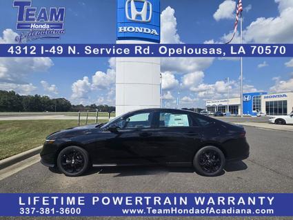 2025 Honda Accord Opelousas LA