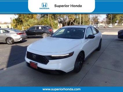 2025 Honda Accord Orangeburg SC