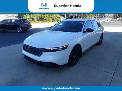 2025 Honda Accord Orangeburg SC