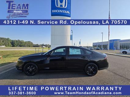 2025 Honda Accord Opelousas LA