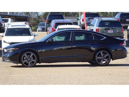 2023 Honda Accord Hybrid Tupelo MS