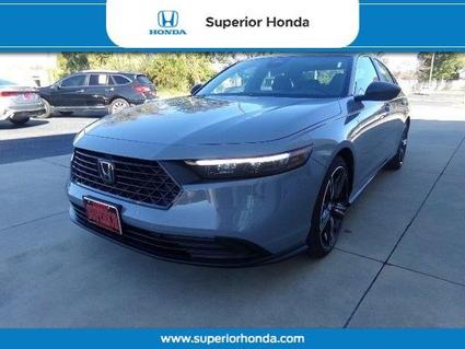 2025 Honda Accord Hybrid Orangeburg SC