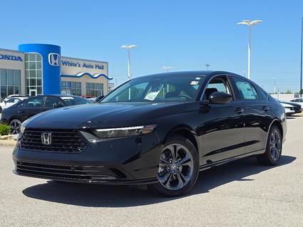 2026 Honda Accord Hybrid Hopkinsville KY