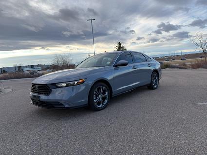 2025 Honda Accord Hybrid Dacono CO