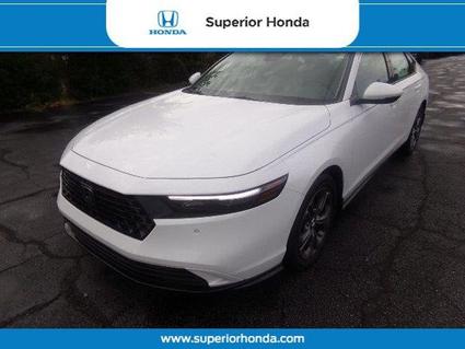 2025 Honda Accord Hybrid Orangeburg SC