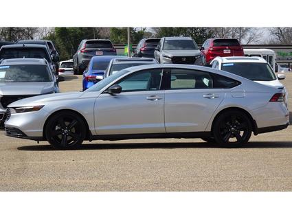 2024 Honda Accord Hybrid Tupelo MS