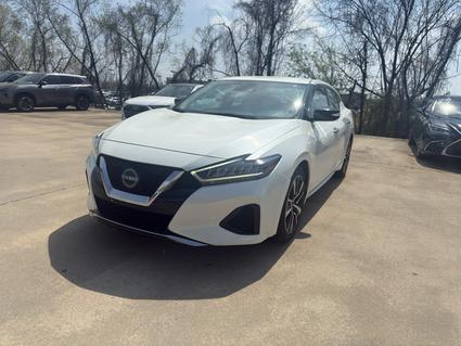 2023 Nissan Maxima Tupelo MS
