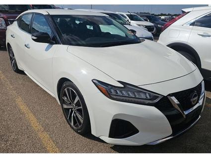 2023 Nissan Maxima SV 2023 Nissan Maxima Murfreesboro TN