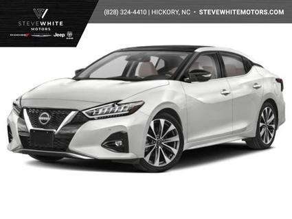 2023 Nissan Maxima Newton NC