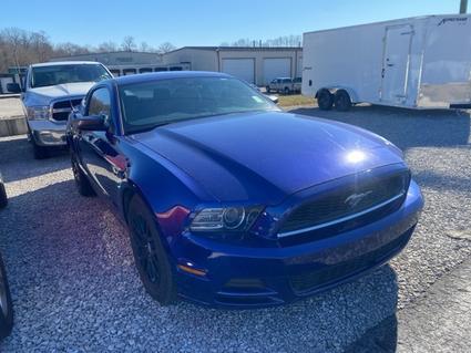 2013 Ford Mustang Sparta TN