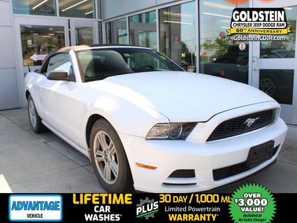 2014 Ford Mustang Latham NY