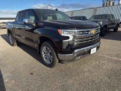 2026 Chevrolet Silverado Cut Bank MT