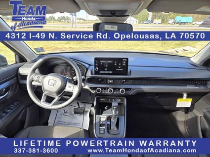 2026 Honda CR-V Opelousas LA