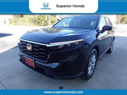 2026 Honda CR-V Orangeburg SC
