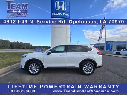 2026 Honda CR-V Opelousas LA
