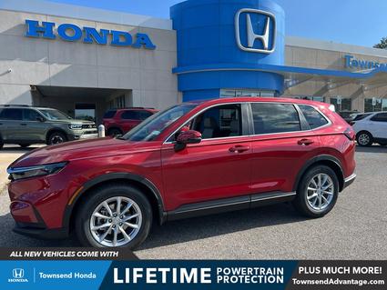 2026 Honda CR-V Tuscaloosa AL