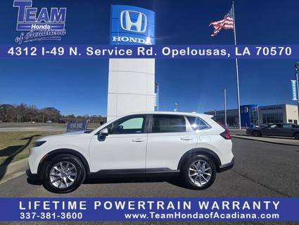 2026 Honda CR-V Opelousas LA