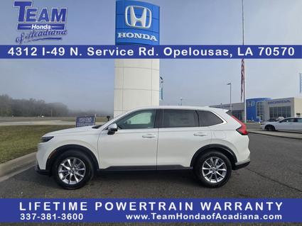 2026 Honda CR-V Opelousas LA