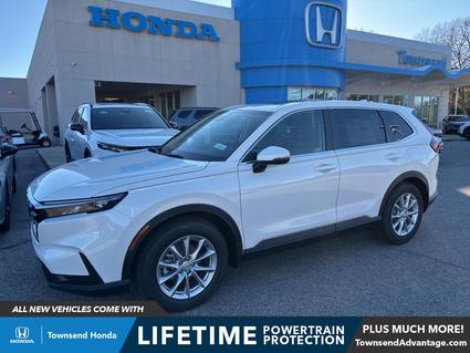 2026 Honda CR-V Tuscaloosa AL